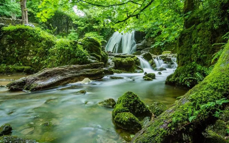 工业节能